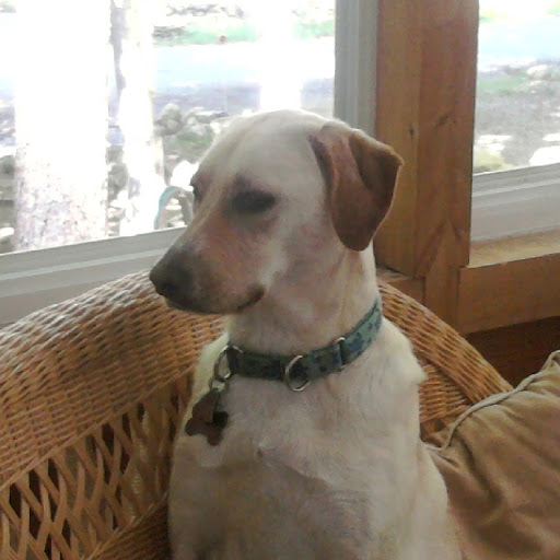 Jacqueline Atkinson Photo 26