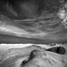 Lisa Webster Photo 42