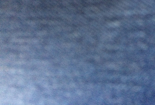 Brenda Lawrence Photo 7