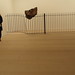 Steve Unwin Photo 11