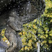 Michael Krupp Photo 31