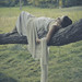 Karen Mattson Photo 17