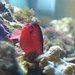 Virginia Chambers Photo 35