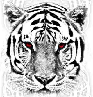 Daniel Stevens Photo 14