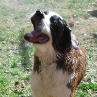 Sadie May Photo 11