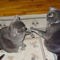 Dolores Dossantos Photo 1