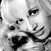 Lee Parisi Photo 5