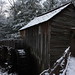 Tammy Snow Photo 23