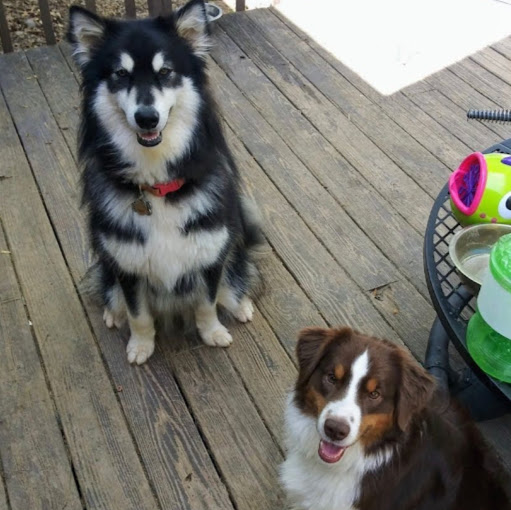 Stephanie Hampton Photo 30