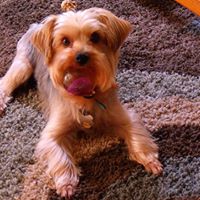 Ruthie Curtis Photo 17