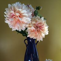 Christine Rockwell Photo 25