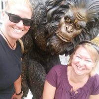 Debbie Phipps Photo 26