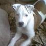 Michelle Mcwhorter Photo 17