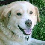 Annette Pryor Photo 4