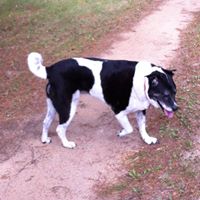 Debbie Regan Photo 20