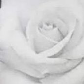 Angelique Howell Photo 2