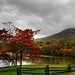Misty Sharp Photo 19