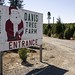 Del Davis Photo 18