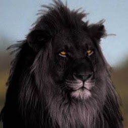 Marilyn Mathews Photo 34