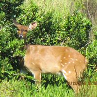 Linda Muller Photo 28