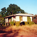 Ken Carey Photo 27