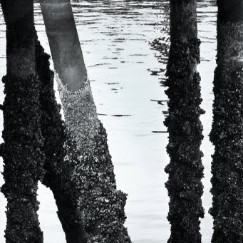Mark Stahl Photo 50