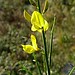 Christine Jamieson Photo 32