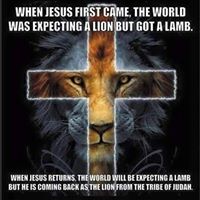 Amy Meredith Photo 33 Amy Meredith Photo 33