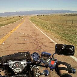 Richard Harmon Photo 50