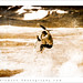 Mark Souza Photo 9