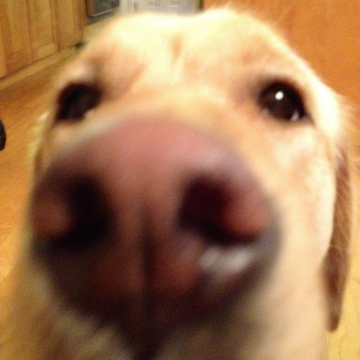 Andrew Garber Photo 21