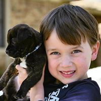 Denise Morris Photo 16