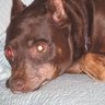 Stephanie Titzel Photo 3