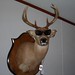 Ronald Friend Photo 10