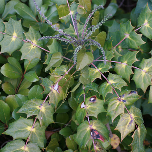 Kristen Goodrich Photo 14