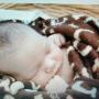 Amanda Hinton Photo 37