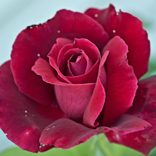 Melissa Ford Photo 39