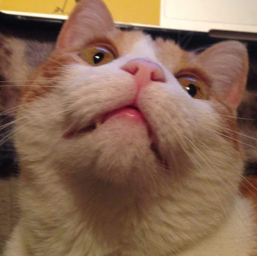 Mary Rutkowski Photo 9