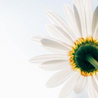 Janet Mulholland Photo 13