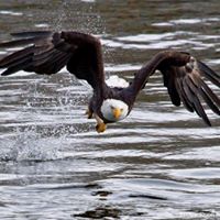 Douglas Baucom Photo 2