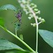 Carolyn Hopper Photo 26
