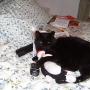 Christine Couture Photo 24