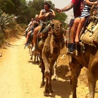 Stuart Mercer Photo 8