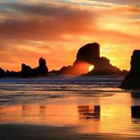 Cheryle Watson Photo 5