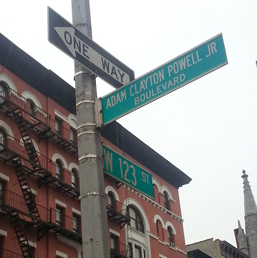 Sean Mitchell Photo 12