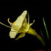 Julia Janes Photo 14