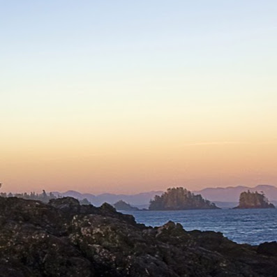 Natasha Johnson Photo 39