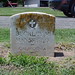 Barbara Graves Photo 44