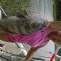 Debra Hamilton Photo 31