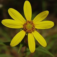 Abdul Wadood Photo 18